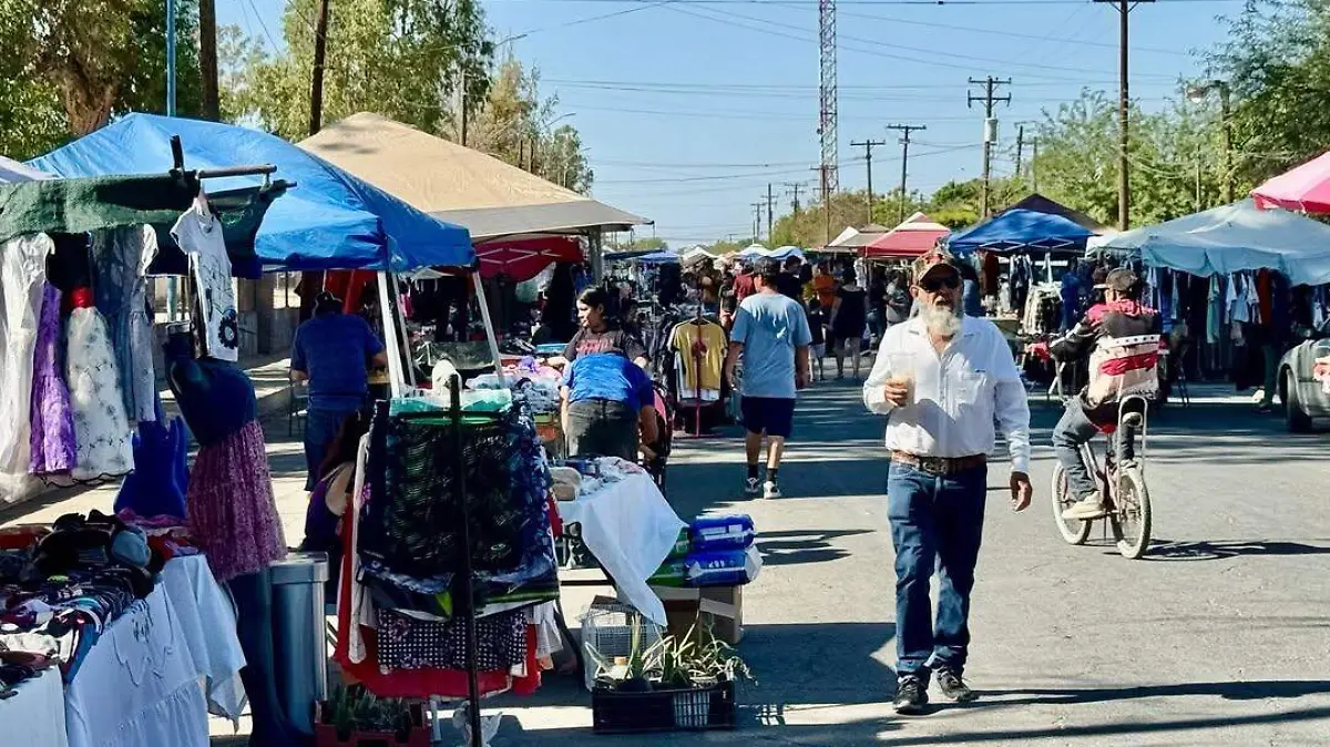 SaveClip.App_534172795_1458349649072635_5512886770862127771_n