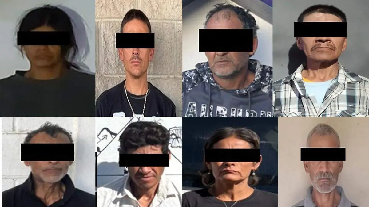 WhatsApp Image 2026-02-25 at 6.33.57 PM (1)