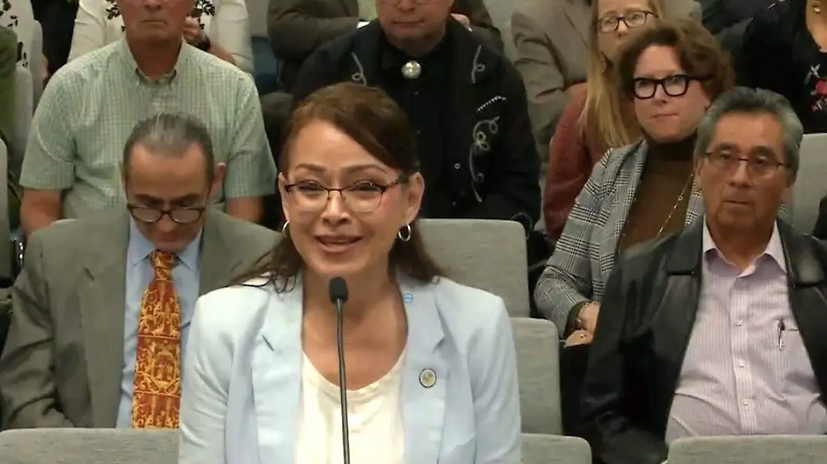 Presentaron varios proyectos de transporte 