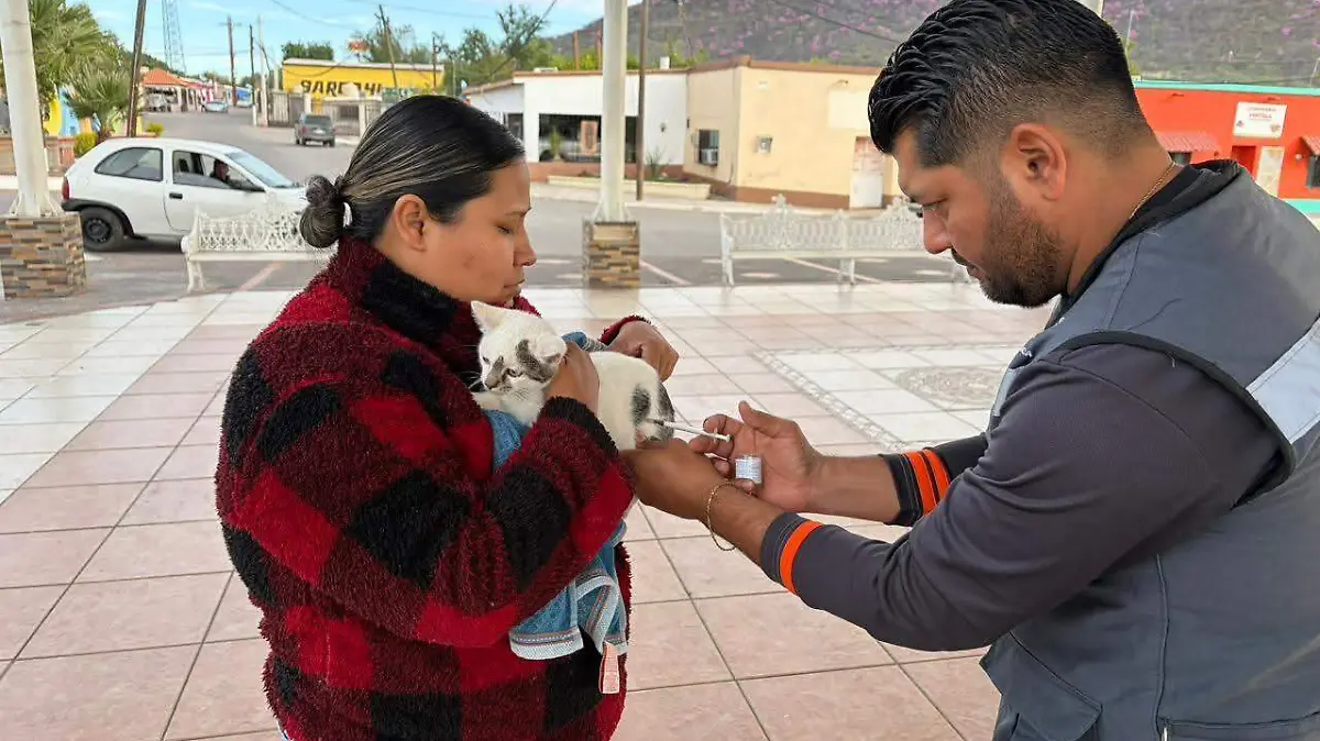 Acciones simples contra la rickettssia (2)