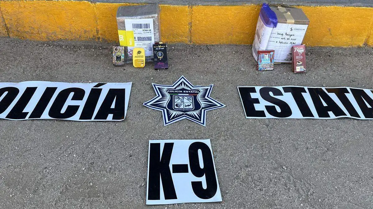 WhatsApp Image 2026-02-27 at 12.26.10 PM