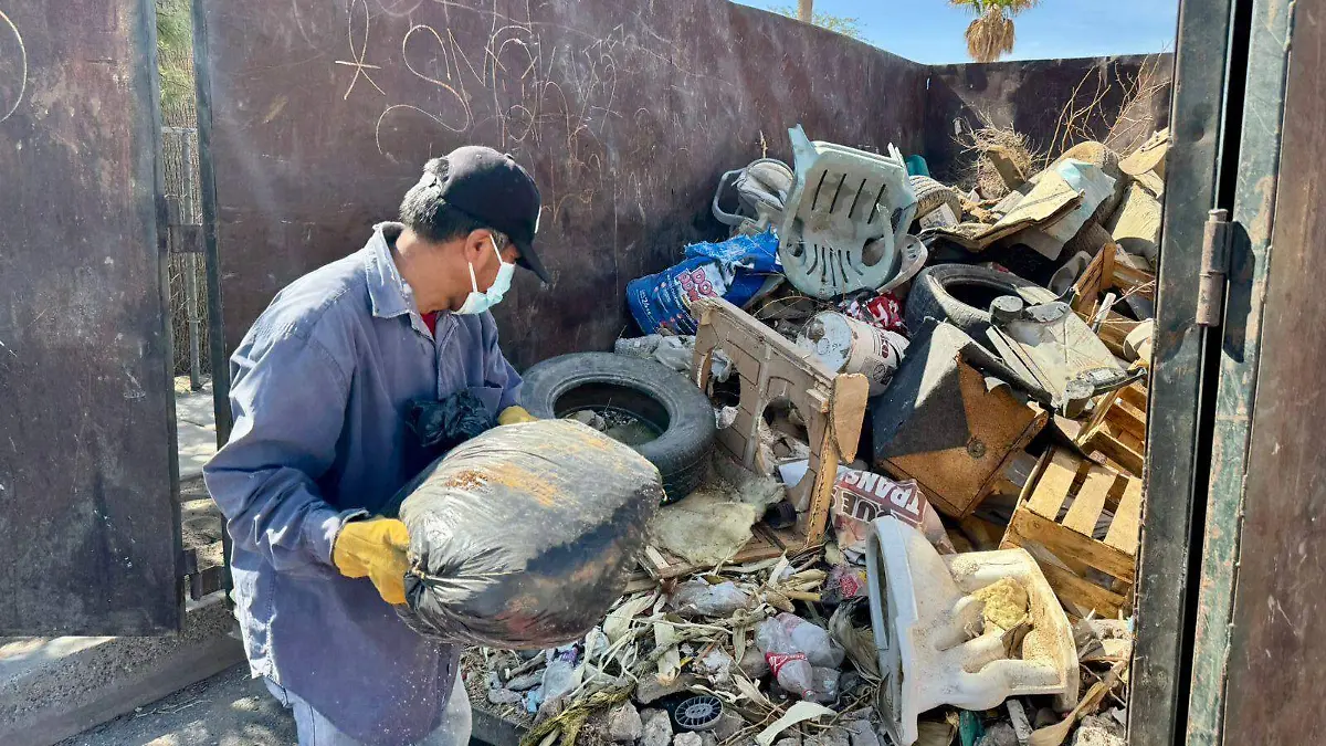 537091391_1462187075355559_8997362750248053491_n