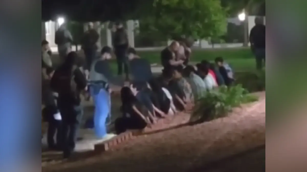 Diseño sin título (14)