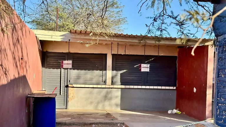 WhatsApp Image 2026-03-04 at 5.27.20 PM