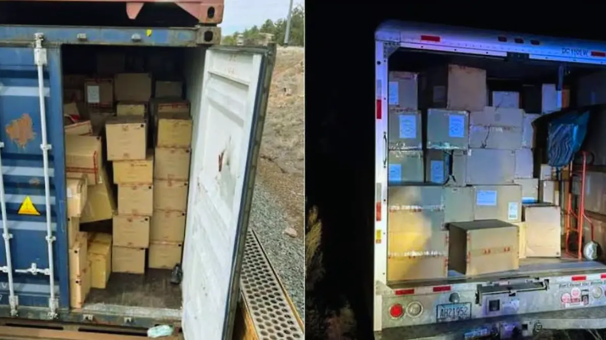 Diseño sin título (16)