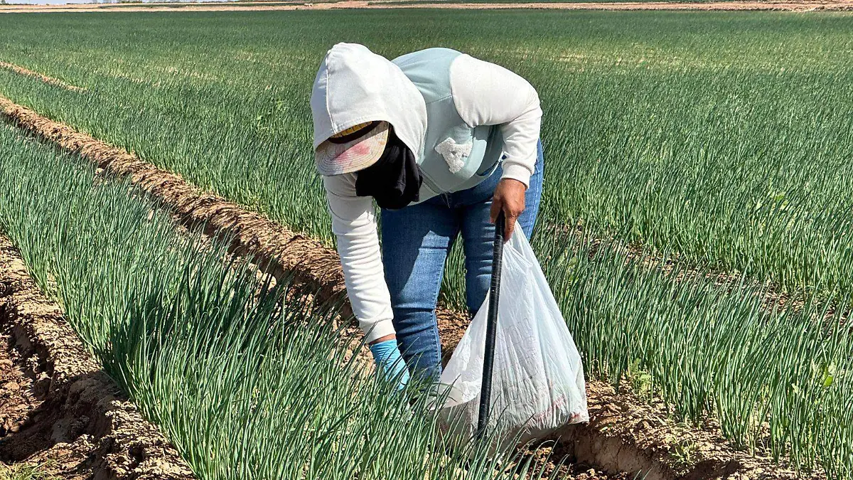 WhatsApp Image 2026-03-07 at 11.43.23 AM