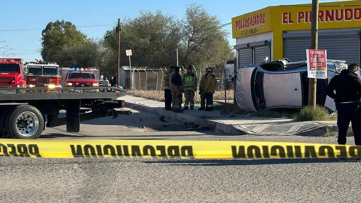 WhatsApp Image 2026-03-08 at 11.16.47