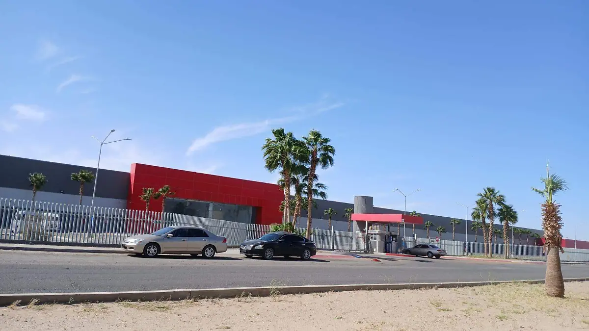 acción para que se permita la importación de todas las mercancías (1)