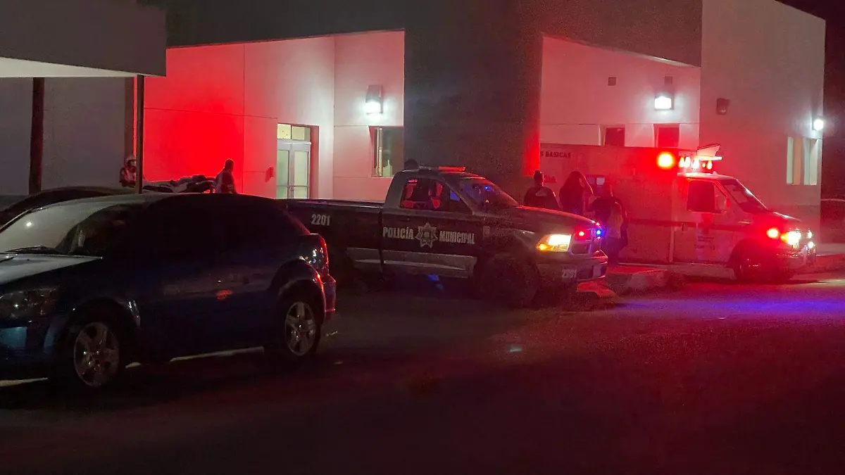 WhatsApp Image 2026-03-08 at 13.08.10