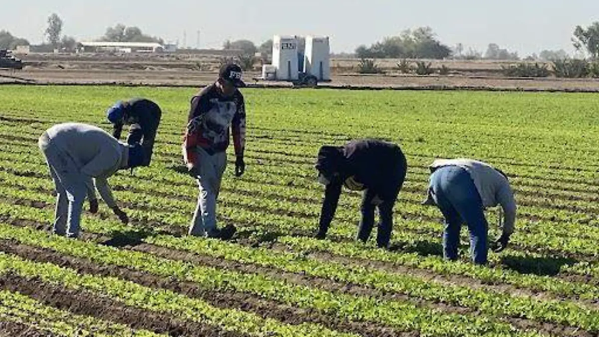 Todo tipo de productoiss esimbran el el valle VF (2)