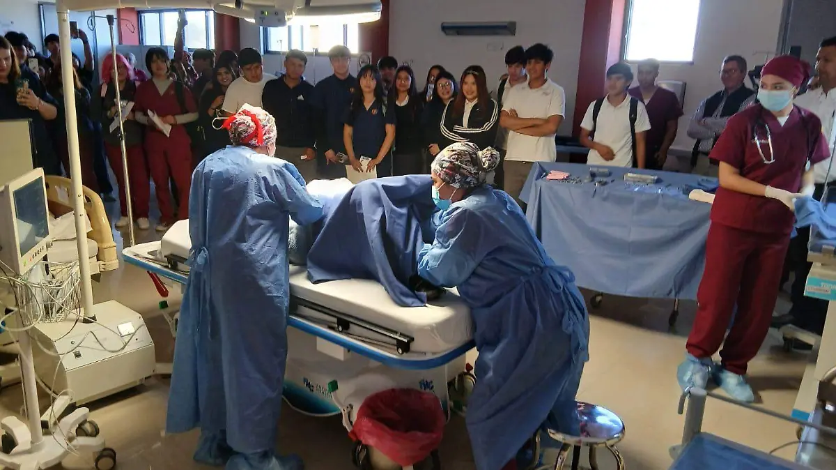 WhatsApp Image 2026-03-10 at 3.01.07 PM