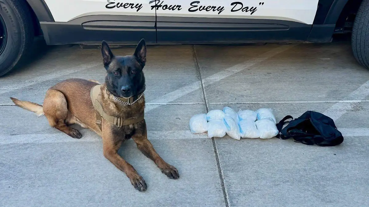 650022563_18533292712071747_6303747971240173775_n