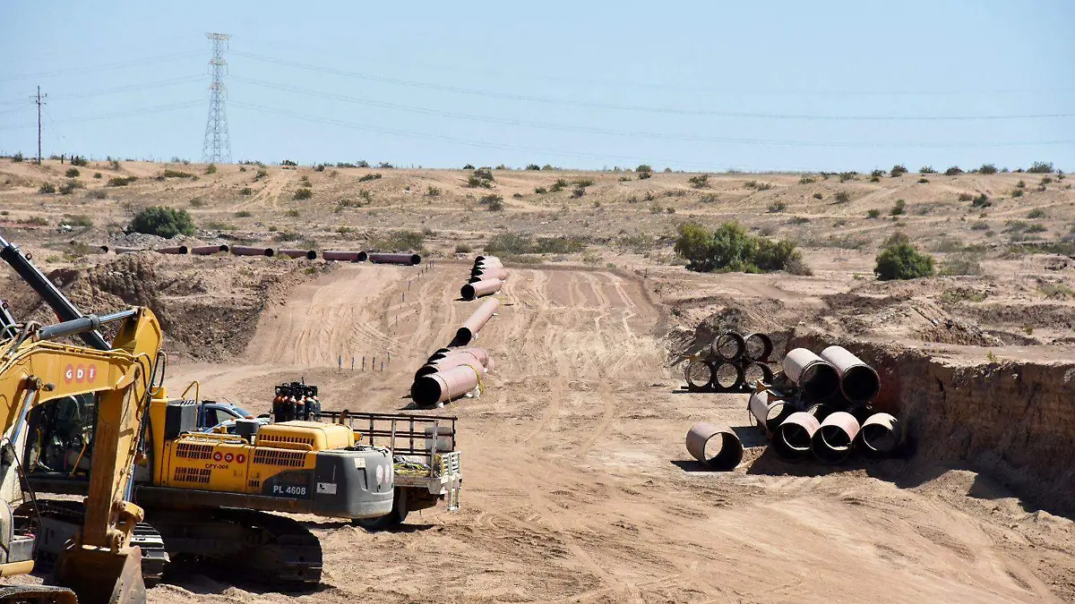 WhatsApp Image 2026-03-11 at 3.53.14 PM (1)