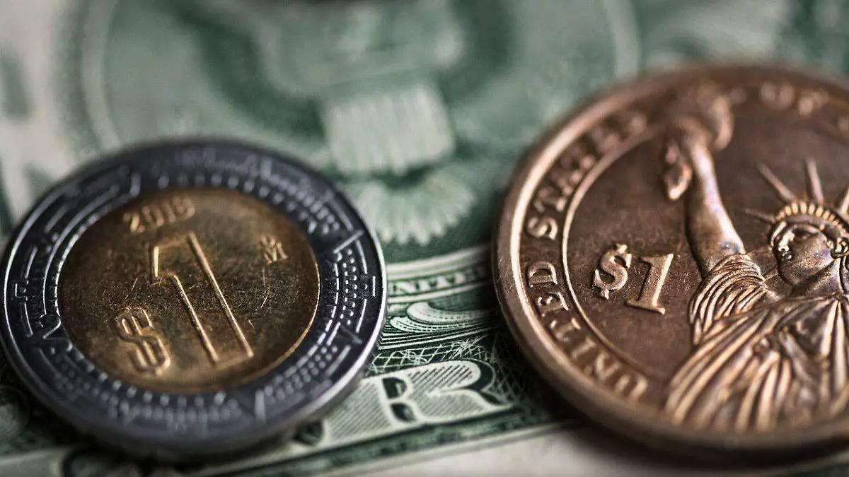 ed76c6cd-3e40-4d65-bebb-f8e5949216a7