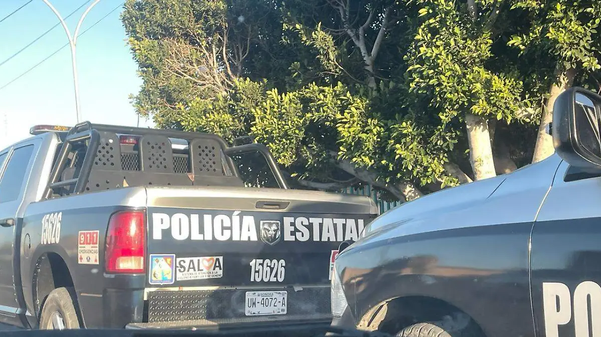 WhatsApp Image 2026-03-15 at 10.45.56 AM