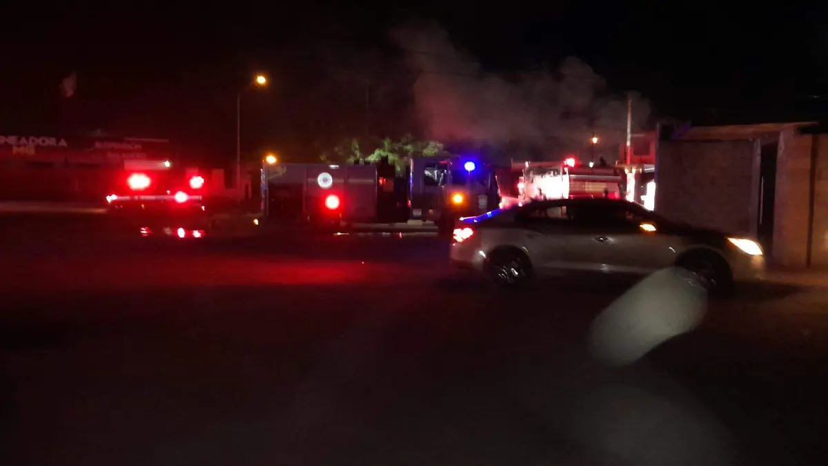 WhatsApp Image 2026-03-16 at 10.42.48