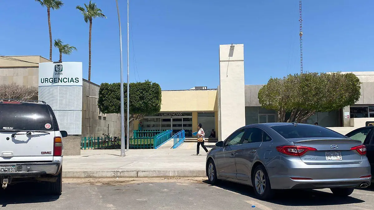 WhatsApp Image 2026-03-16 at 11.07.09