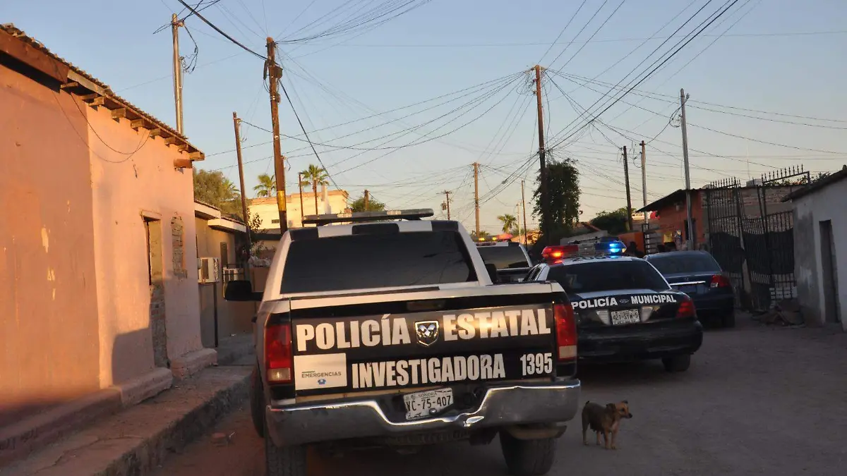 WhatsApp Image 2026-03-16 at 12.20.23