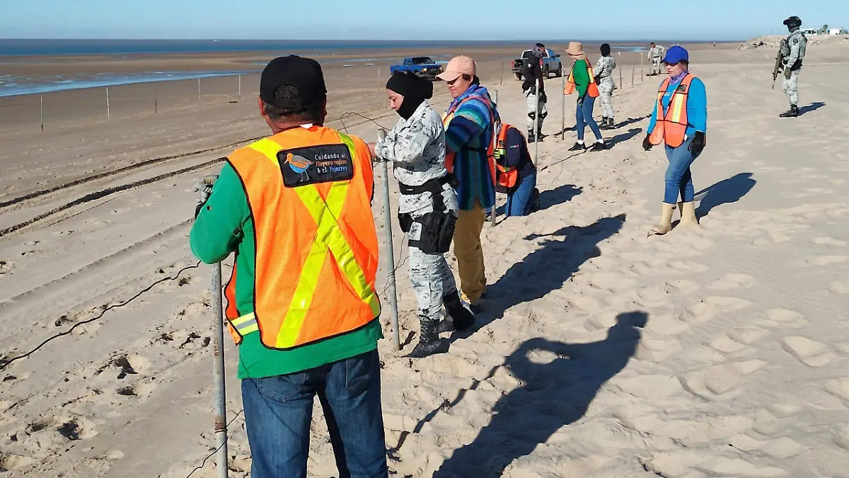 47e737f8-b4ba-4a90-ae97-0adfc2201ee2