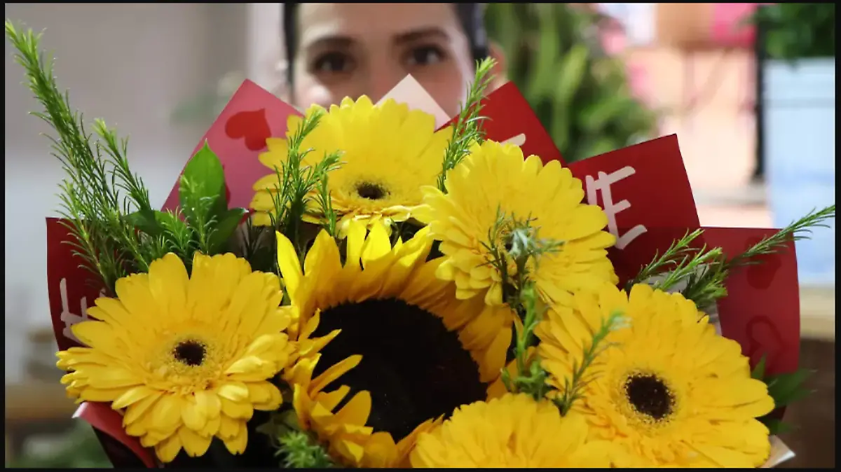 Screenshot 2026-03-17 12.00.43