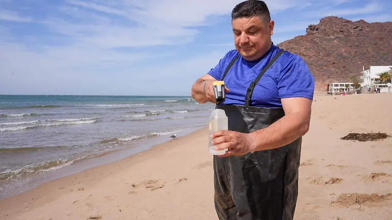  las playas del Estado cumplen con los criterios sanitarios (1)