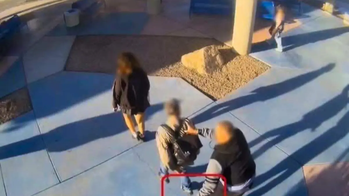 WhatsApp Image 2026-03-19 at 3.49.45 PM