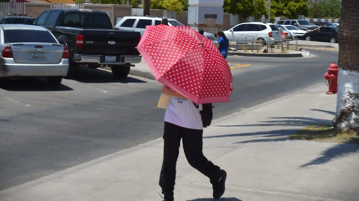 recomendaciones por altas temperaturas (2)