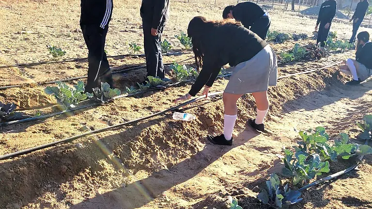 asociación civil por tu salud y nutrición  (2)