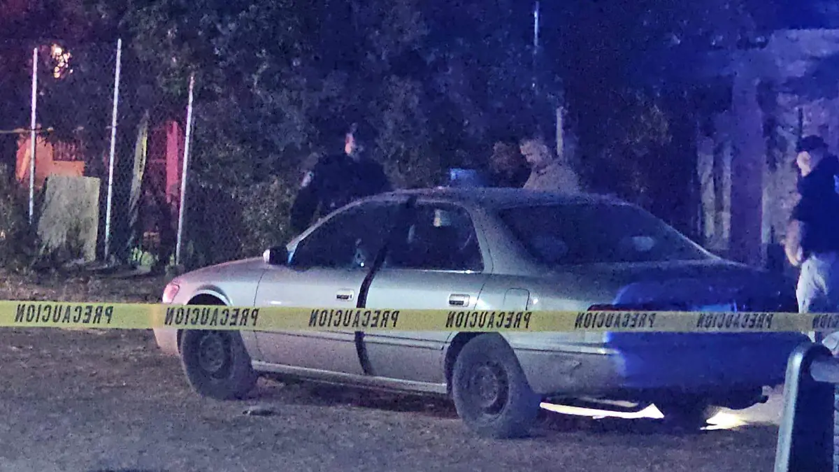 WhatsApp Image 2026-03-22 at 10.18.01