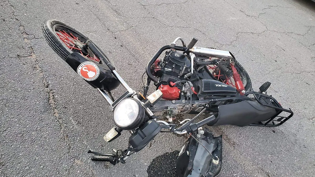 WhatsApp Image 2026-03-22 at 11.41.20