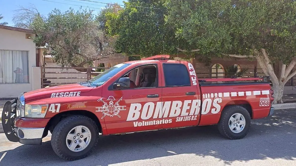 Bomberos atiende casos de panales de abejas (2)