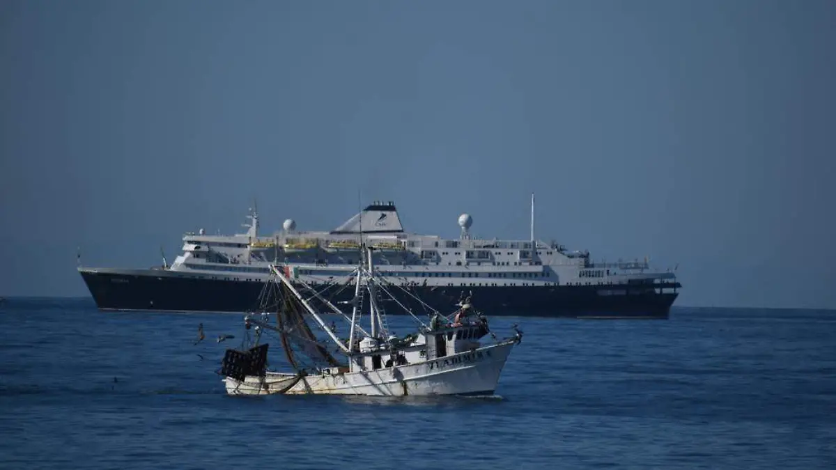 12695711-63da-445b-827d-d1c2d208dae5