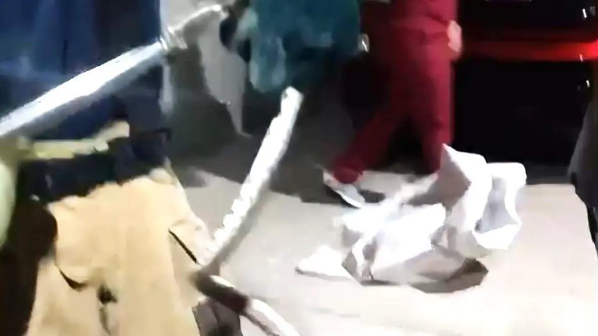 Atrapan reptil en consultorio dental