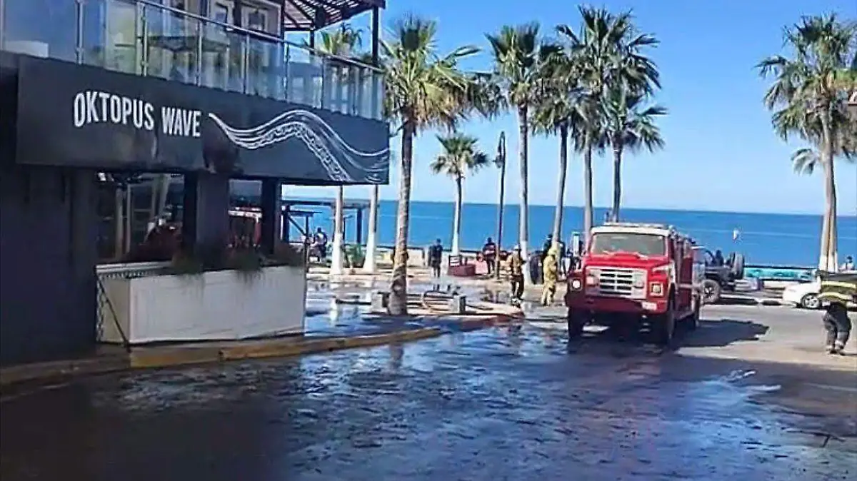 WhatsApp Image 2026-03-25 at 10.16.03 AM