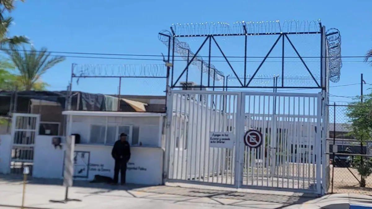 WhatsApp Image 2026-03-25 at 3.29.17 PM