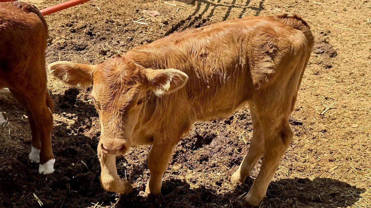 fc055707-63ed-479f-bfea-c1295300c99d