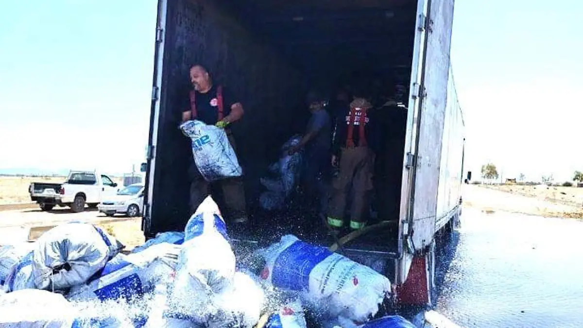 WhatsApp Image 2026-03-28 at 12.40.37 PM