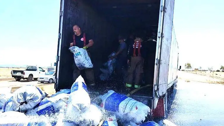 WhatsApp Image 2026-03-28 at 12.40.37 PM