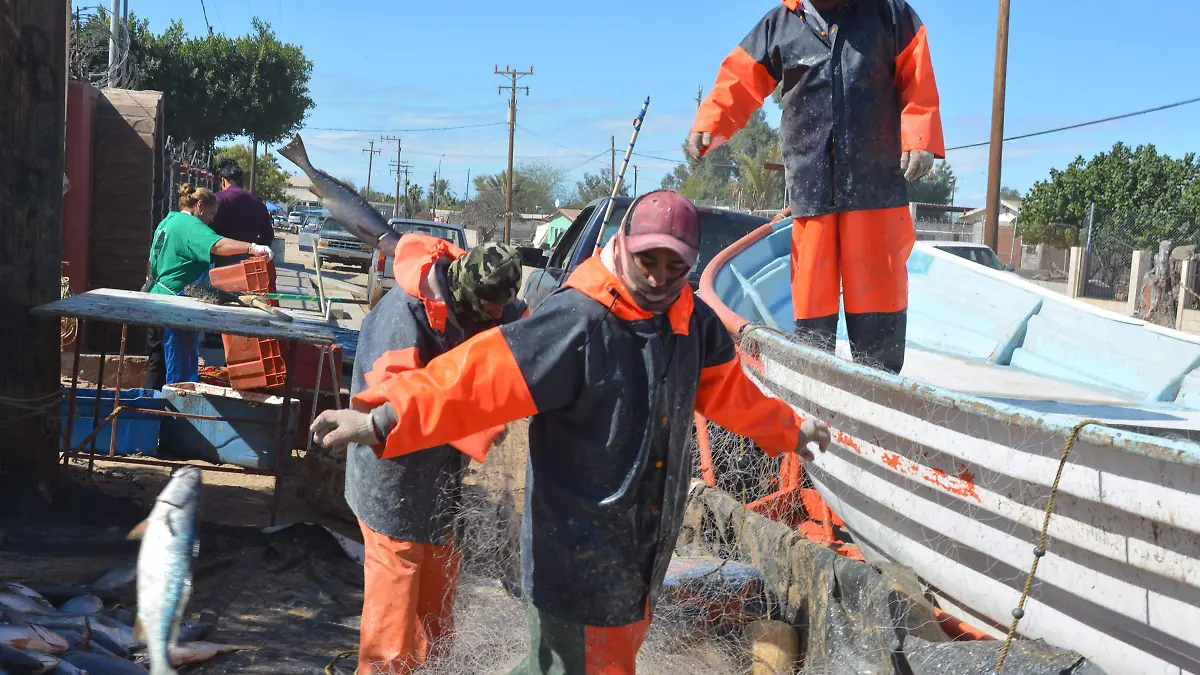 Impacto económico de la pesca de Chano