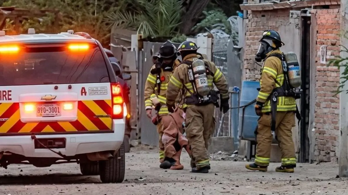 Intervienen bomberos para evitar ataques de abejas