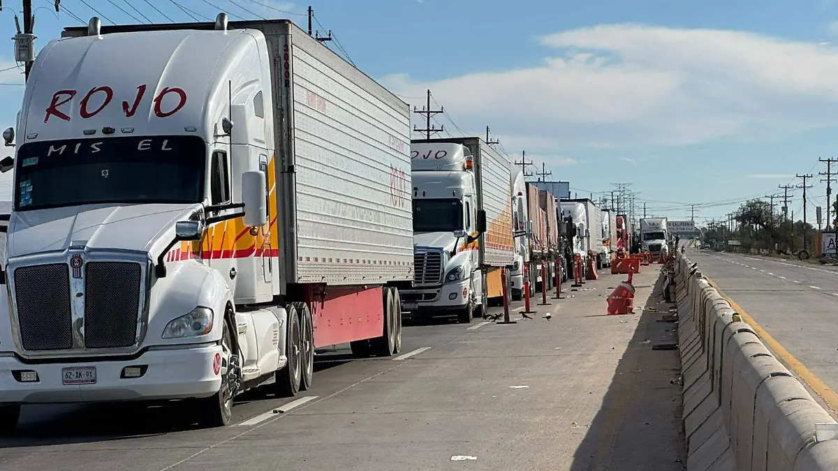 Bloqueo por manifestación VF (2)