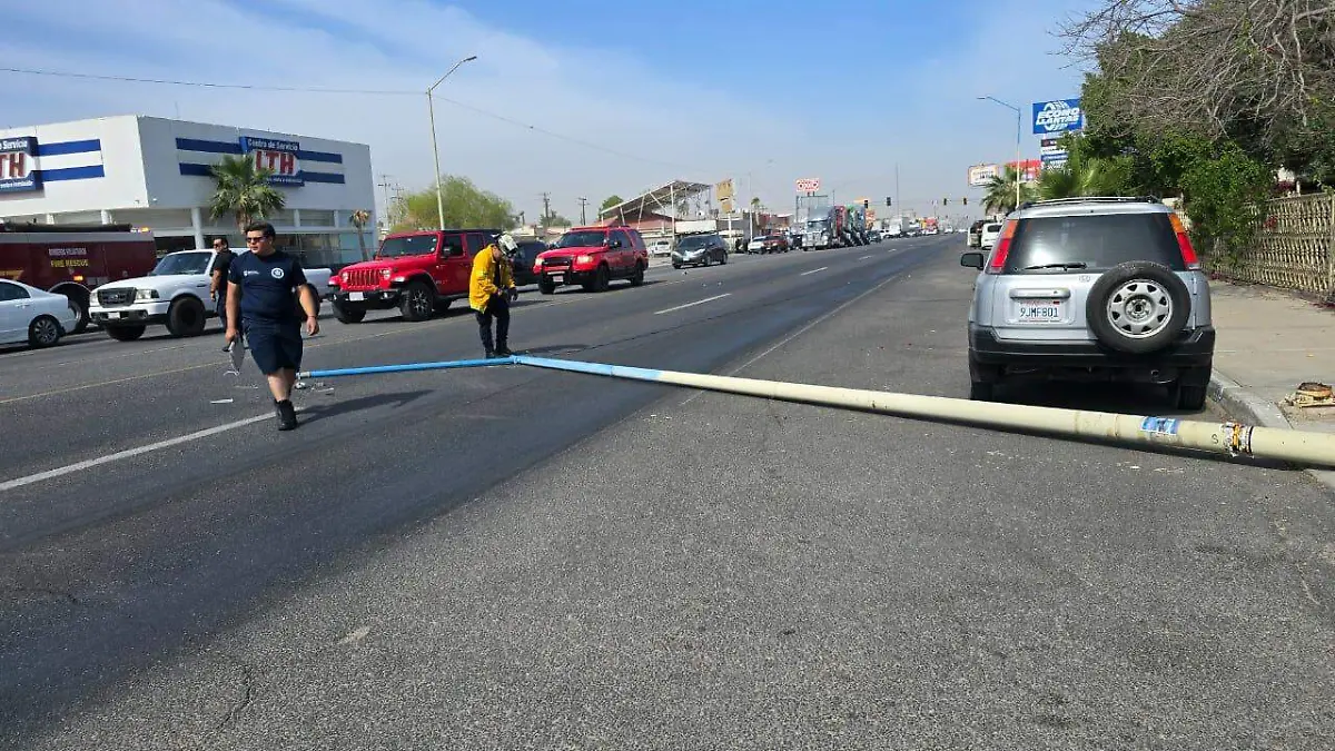 WhatsApp Image 2026-04-05 at 12.32.14