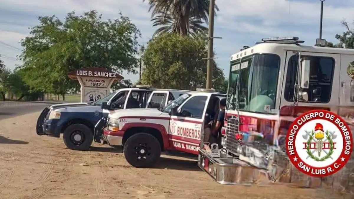 WhatsApp Image 2026-04-05 at 20.21.49