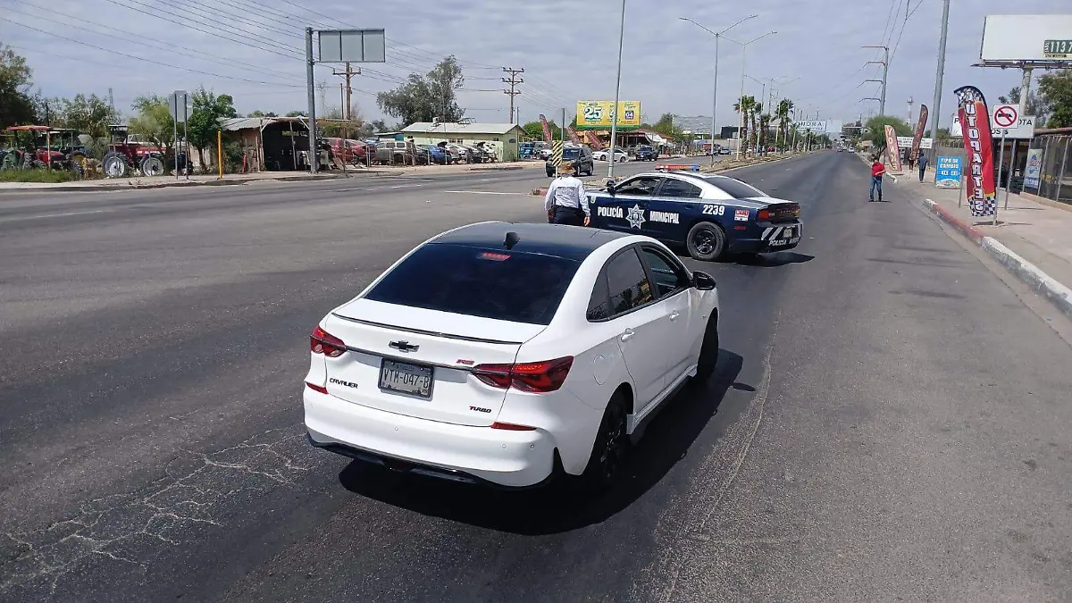 WhatsApp Image 2026-04-06 at 11.24.10 AM