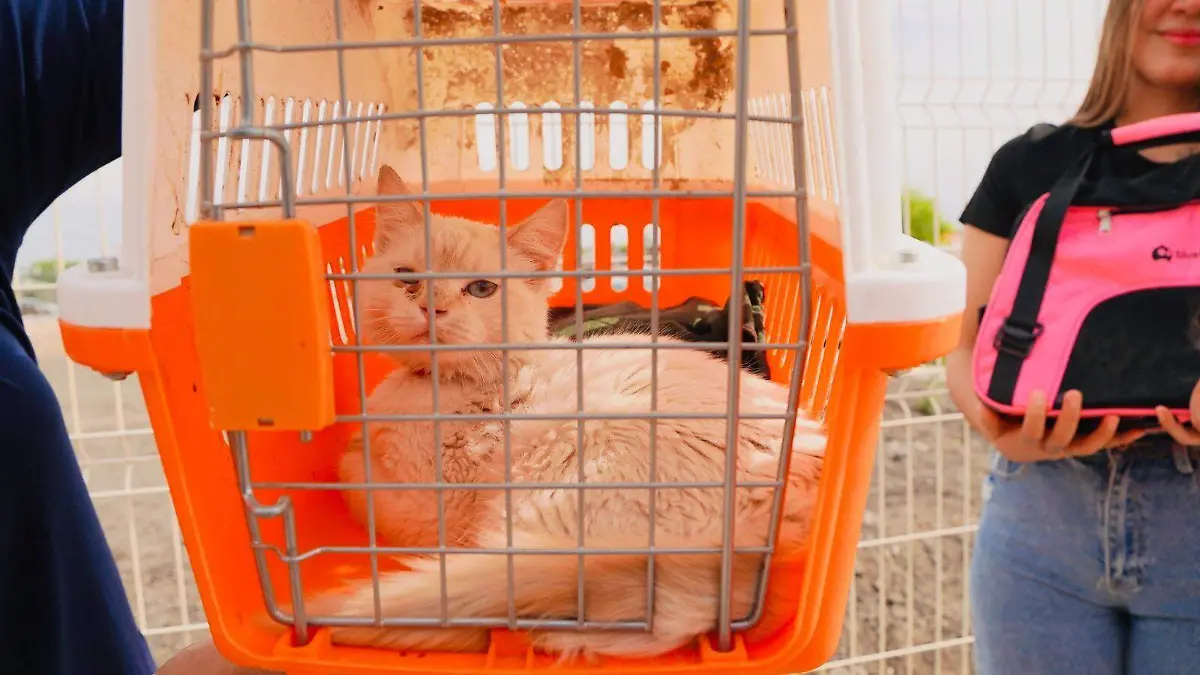 WhatsApp Image 2026-04-06 at 2.23.52 PM