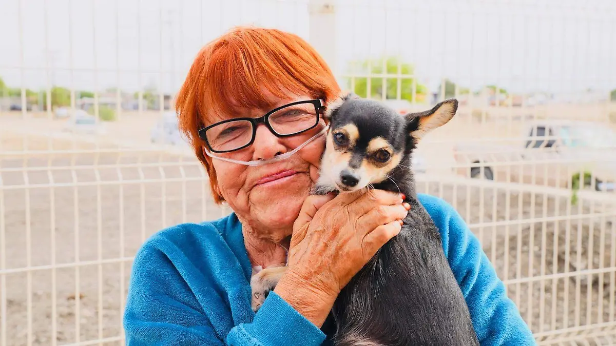 Campaña de Esterilización2