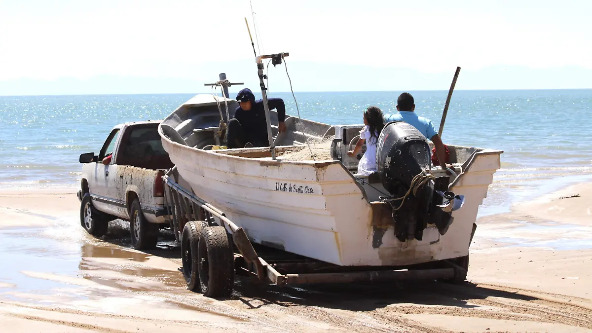 créditos de la comercialización de la curvina y de los motores Vf (2)