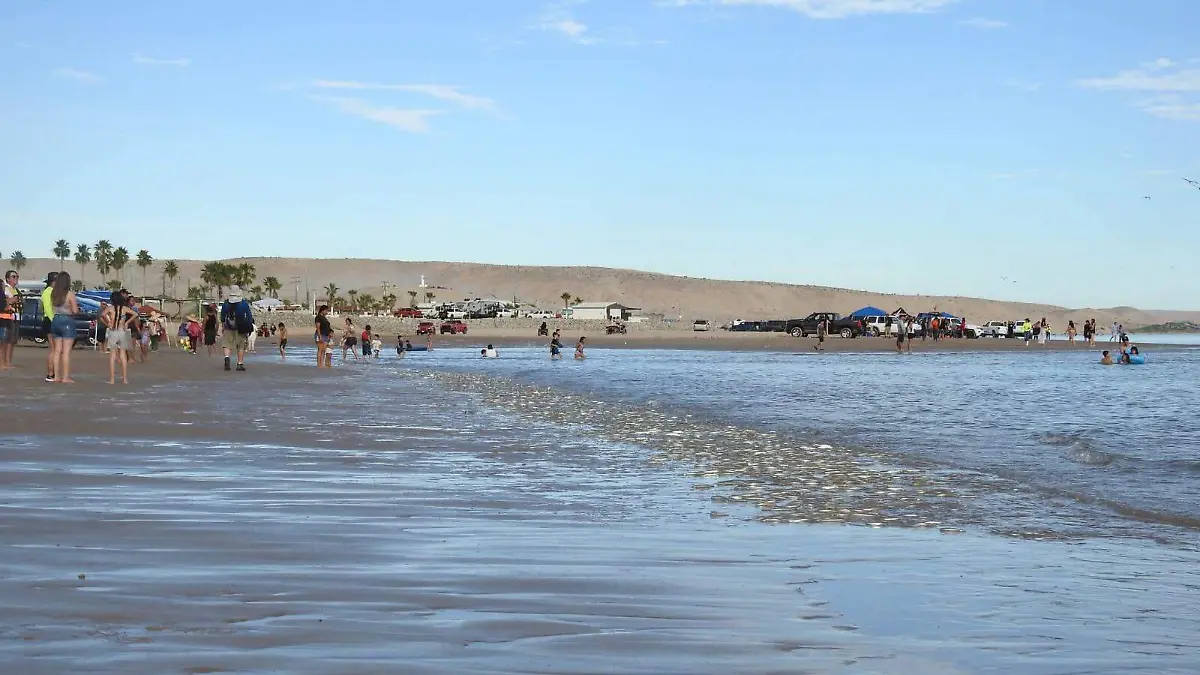 Pejerrey semana santa (1)