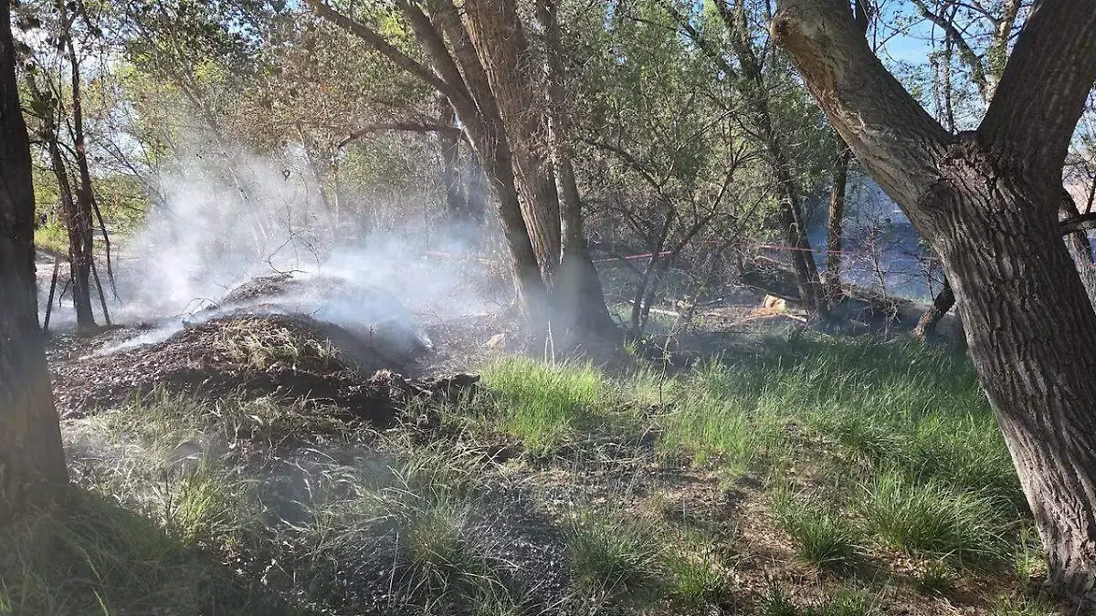 WhatsApp Image 2026-04-08 at 2.44.34 PM (5)