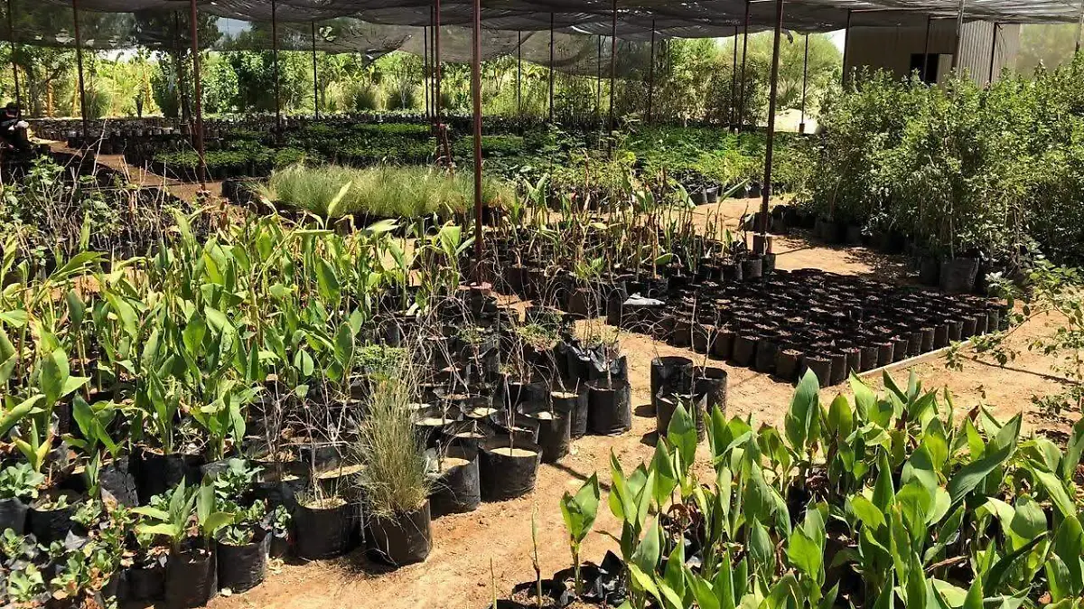 be83c3b4-20cd-4b10-8663-f89cc84e2e30